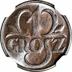 1 grosz 1931, menniczy, kolor BN