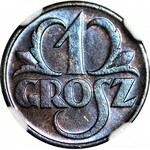1 grosz 1933, menniczy, kolor BN
