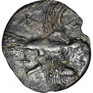 Grecja, Olbia, AE-69, V w. pne, głowa Gorgony / ptak łapiący delfina