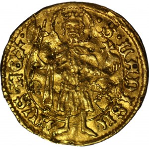RR-, Węgry, Władysław V 1453-1457, Goldgulden 1455-6, Nagybanya, RZADKI