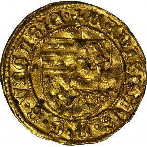 RR-, Węgry, Władysław V 1453-1457, Goldgulden 1455-6, Nagybanya, RZADKI