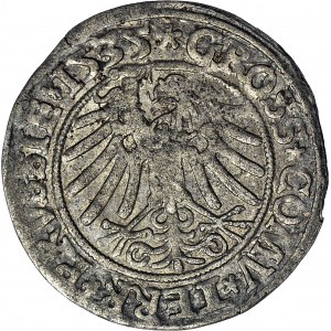 Zygmunt I Stary, Grosz 1534, Toruń, PRVSSIE/PRVSSIE