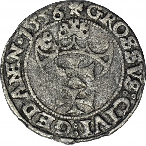 RRR-, Zygmunt II August, Grosz 1556, Gdańsk, mikro V, NE w ligaturze