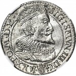 Zygmunt III Waza, Szóstak 1596, Malbork, menniczy