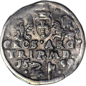 RR-, Zygmunt III Waza, Trojak 1599, Wilno, Łabędź, R4