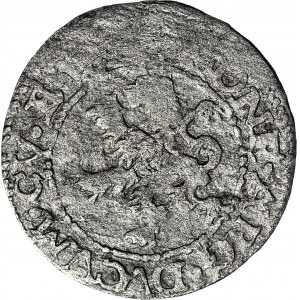 RRR-, Kurlandia, Fryderyk i Wilhelm Kettler, Szeląg 1596, Mitawa