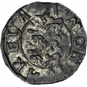 Inflanty pod panowaniem szwedzkim, Jan III 1568-1592, Szeląg bd, Rewal