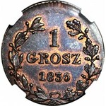 Królestwo Polskie, 1 grosz 1836 MW, menniczy, kolor RB