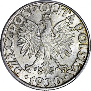 5 złotych 1936 Żaglowiec, menniczy