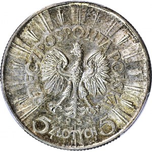 5 złotych 1938, Piłsudski, menniczy