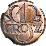 1 grosz 1923, menniczy, kolor RB