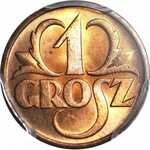 1 grosz 1938, menniczy, kolor RD