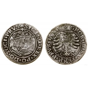 Polska, grosz, 1530, Toruń
