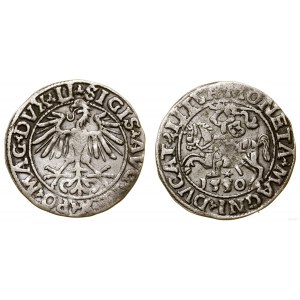 Polska, półgrosz, 1550, Wilno