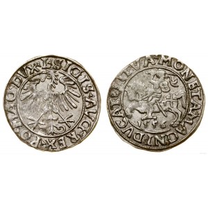 Polska, półgrosz, 1556, Wilno