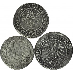 Zygmunt I Stary lot 3 szt., Grosze 1527, 1531, 1540