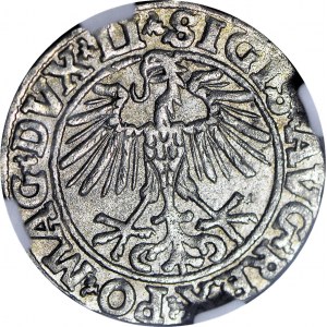 Zygmunt II August, Półgrosz 1551, Wilno