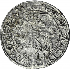 Zygmunt II August, Grosz litewski 1566, Tykocin, L/LIT