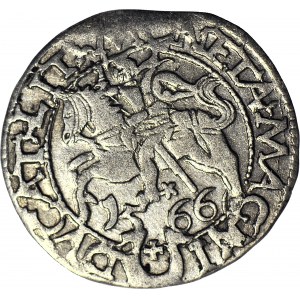 RR-, Zygmunt II August, Półgrosz 1566, Tykocin, herb Jastrzębiec, R5