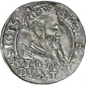 Zygmunt II August, Grosz litewski 1568, Tykocin