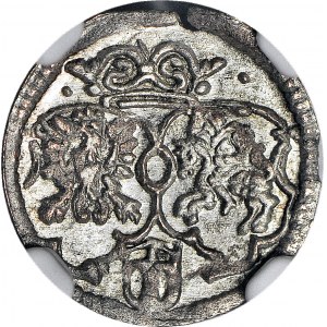 Zygmunt III Waza, Ternar 1619, menniczy