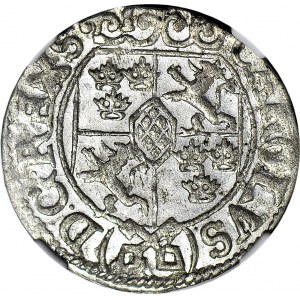 Karol XI, Półtorak 1669, Okupacja Szwedzka, wyśmienity