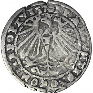 RR-, Śląsk, Księstwo Cieszyńskie, Fryderyk Kazimierz, Grosz 1570, Bielsko