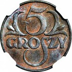 5 groszy 1931, mennicze, kolor BN, tylko 1 szt. wyżej