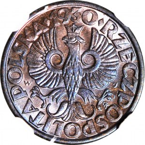 1 grosz 1930, menniczy, kolor BN