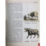 [Bohdan Butenko] O książce. Mała encyklopedia dla nastolatków.