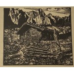 Plangger-Popp Lieselotte, Aus dem Alpenland Tirol [Teka z reprodukcjami linorytów]