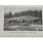 Merwin Bertold, Legie v Karpatoch 1914 [súbor ilustračných fotografií].