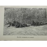 Merwin Bertold, Legie v Karpatech 1914 [soubor ilustračních fotografií].