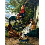 Max Hänger Senior (1874-1941), Rooster and hens