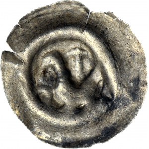 RR-, Pomorze Zachodnie, (Świętopełk II Wielki 1220-1266?), Brakteat, Ptak i lilia