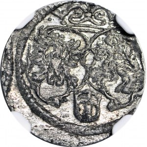 Zygmunt III Waza, Ternar 1619, menniczy
