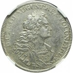 R-, August II Mocny, 1/3 talara 1725, Drezno, bardzo rzadkie