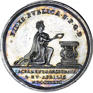 August II Sas, Medal 1733, składanie wierności nowemu elektorowi