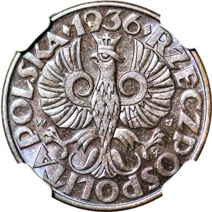 5 groszy 1936, mennicze, kolor BN, tylko 1 moneta wyżej