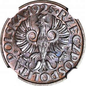 2 grosze 1925, mennicze, kolor BN