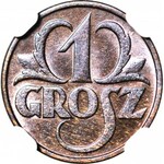 1 grosz 1928, menniczy, kolor RB