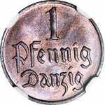 Wolne Miasto Gdańsk, 1 fenig 1923, menniczy, kolor RB