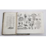 Jarocki, Felix Paul, Contents of Zoology for the Use of the Young. With a Zoological Dictionary in Five Languages and with Three Tables of Lithographed Figures.