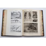 Great Nature Illustrated. Bände 1-4 in drei Bänden.