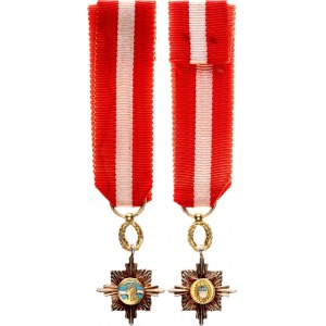 Argentina Order of Merit 1929 - 1957 Miniature