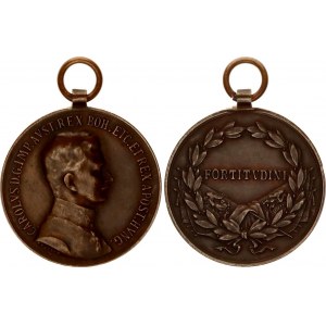 Austria Bravery Medal  Der Tapferkeit 1917 - 1918