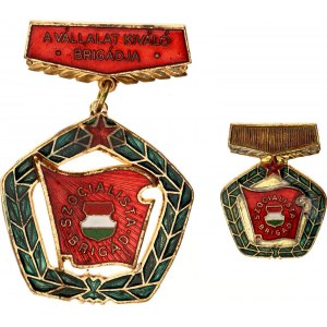 Hungary Brigade Medal 1960 -th