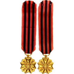 Belgium Civil Decoration Gold Medal I Class for Administrative Long Service Miniature 1867 - 1914