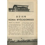 Naokoło Świata. Numer 113 z 1933 roku [okł. Mieczysław Berman]