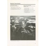 Sztuka najnowsza. Catalogs of three exhibitions [Polish art of the 1980s] [1990].